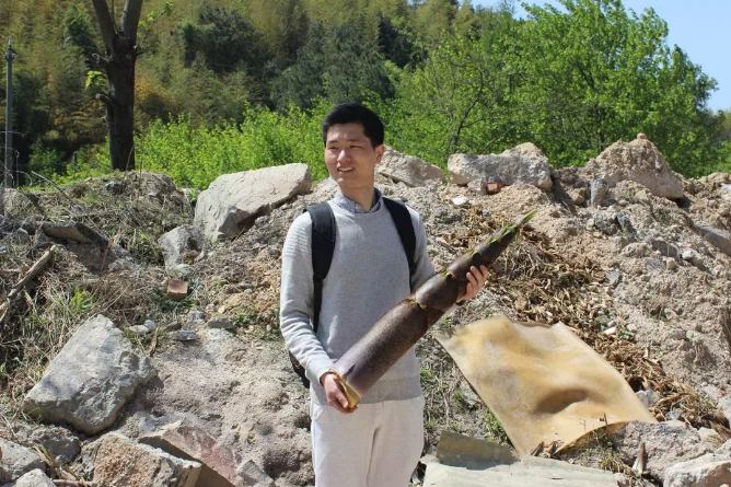 Enjoy the bamboo sea in Nanshan and integrate into nature!