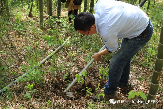 Enjoy the bamboo sea in Nanshan and integrate into nature!