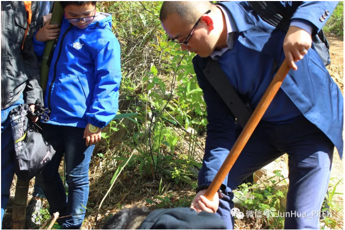 Enjoy the bamboo sea in Nanshan and integrate into nature!
