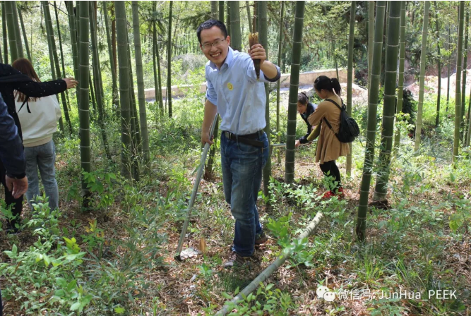 Enjoy the bamboo sea in Nanshan and integrate into nature!