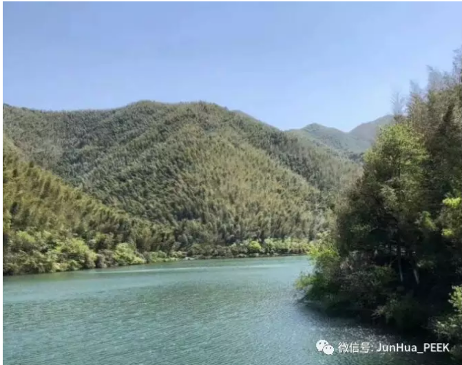Enjoy the bamboo sea of Nanshan and integrate into nature!