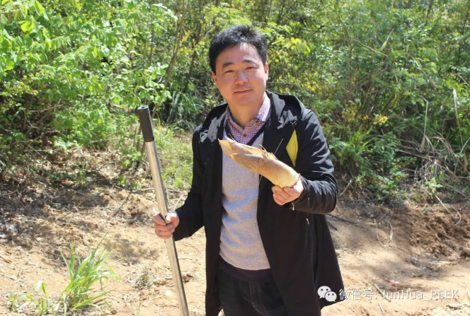 Enjoy the bamboo sea in Nanshan and integrate into nature!